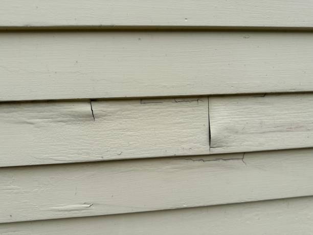 Best Engineered Wood Siding  in Ridgecrest, CA